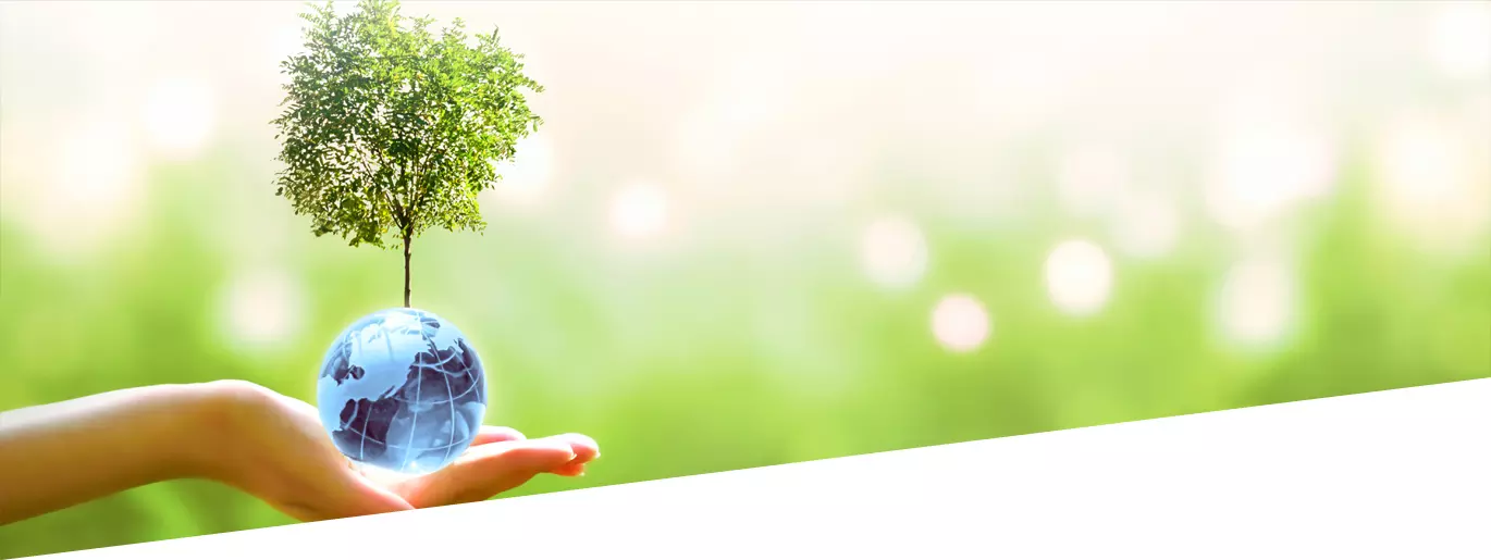 Woman holding a tree in her hand