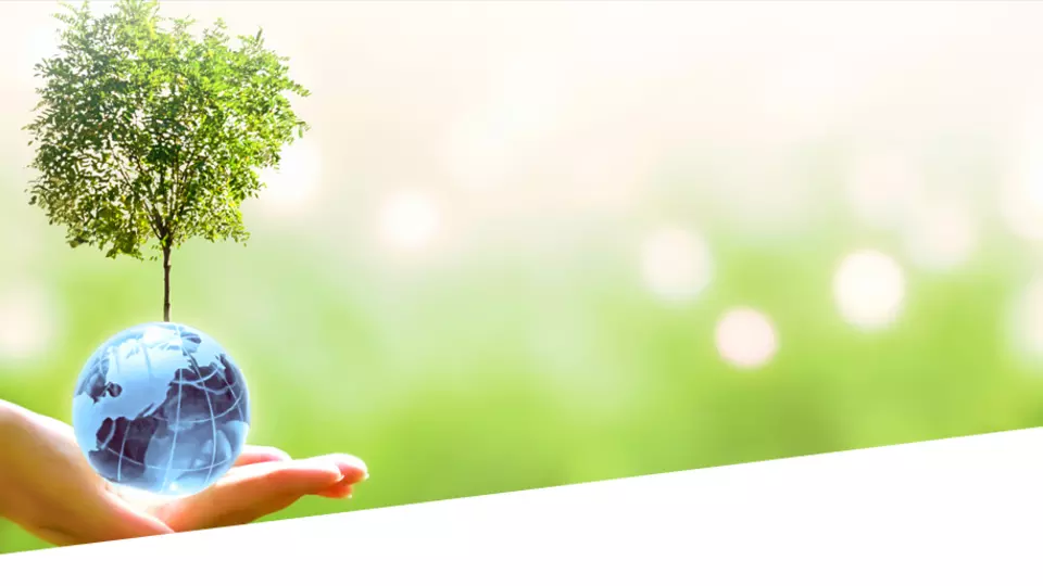 Woman holding a tree in her hand